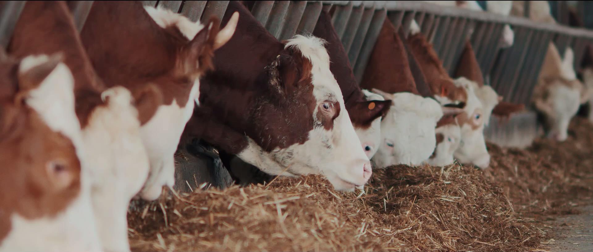 upay钱包下载-UPAY钱包(中国区) -【官方网站】