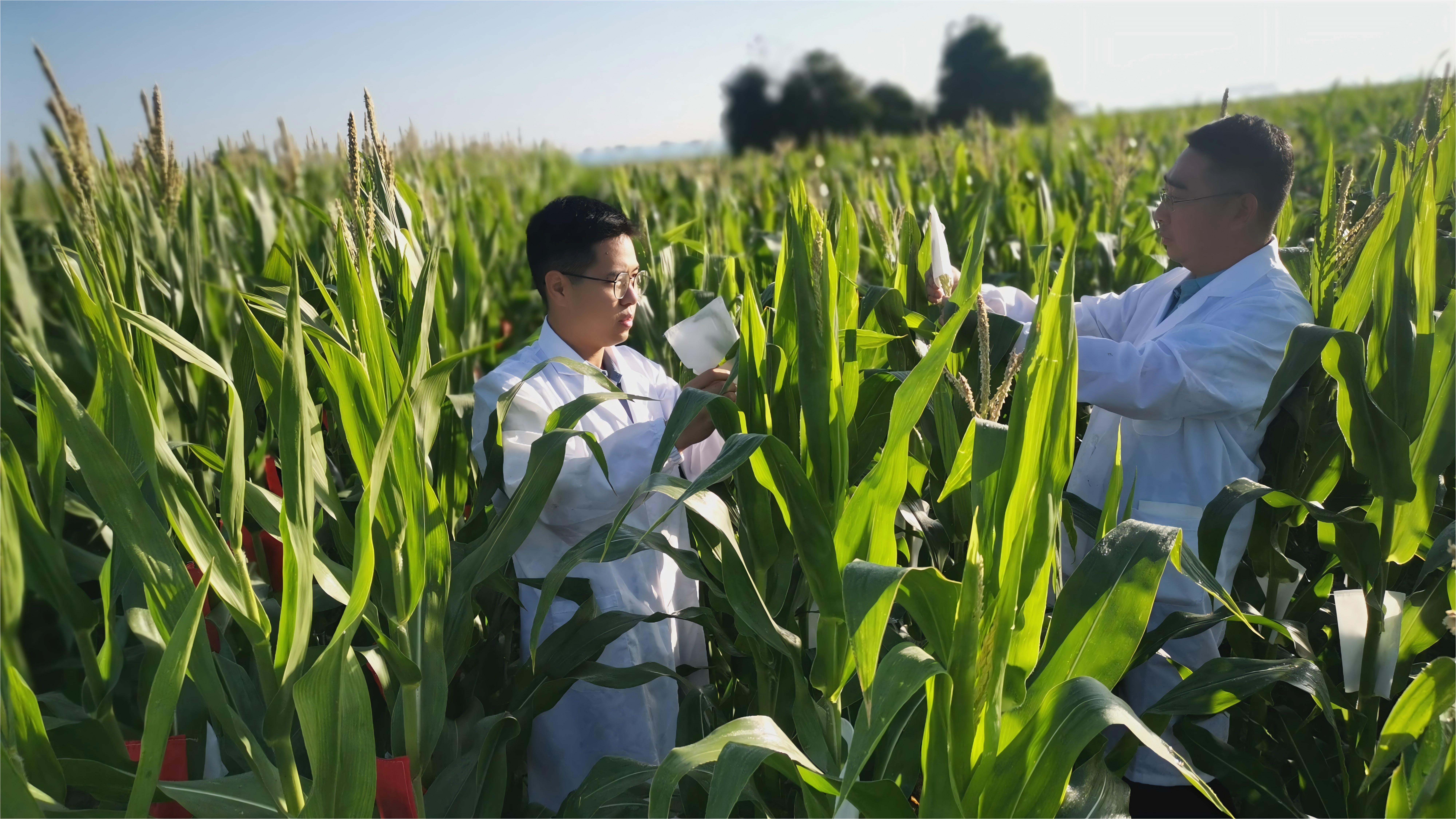 upay钱包下载-UPAY钱包(中国区) -【官方网站】