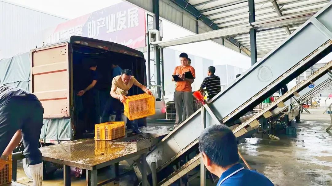 upay钱包下载-UPAY钱包(中国区) -【官方网站】