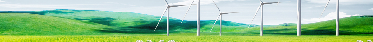 P020220719594823117226